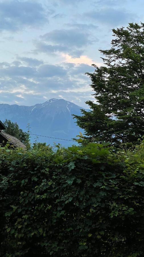 Mika'S Garden Villa Bled Exterior foto